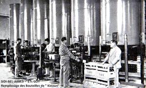 Sidi-Bel-Abbes - etablissements Got Freres - Remplissage des Bouteilles de Kinouri